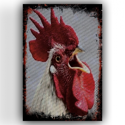 Horoz Ahşap Retro Vintage Poster 