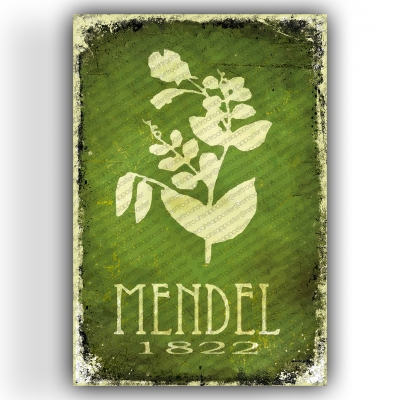 Mendel Ahşap Retro Vintage Poster 