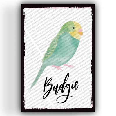 Budgie Ahşap Retro Vintage Poster 