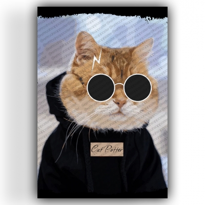 Cat Potter Ahşap Retro Vintage Poster 