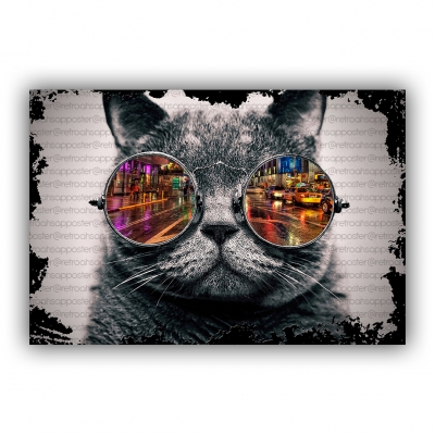 Kedi Ahşap Retro Vintage Poster 