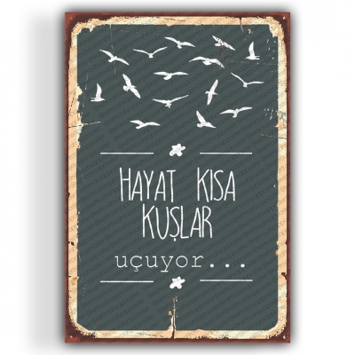 Hayat Kısa Ahşap Retro Poster