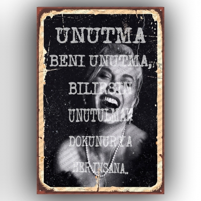 Sezen AksuRetro Ahşap Poster