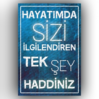 Hayatımda sizi ilgilendiren... Retro Ahşap Poster