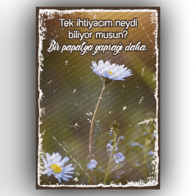 Tek İhtiyacım Olan...  Ahşap Retro Poster