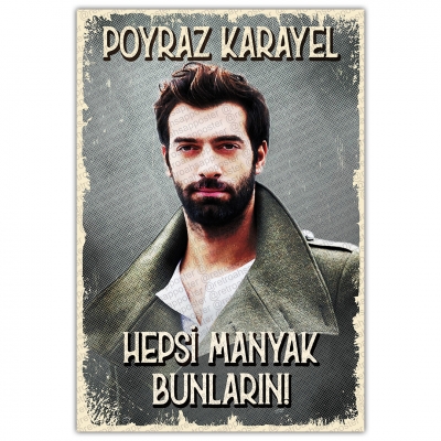 Hepsi Manyak Bunların Poyraz karayel Ahşap Retro Poster