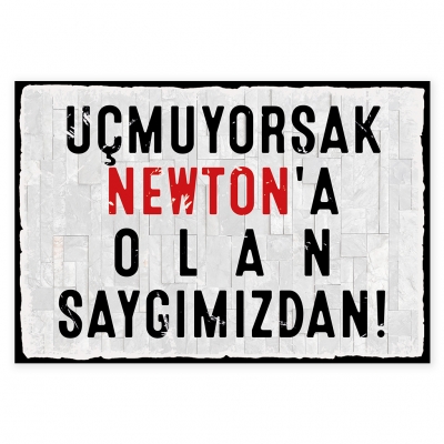 Uçmuyorsak Newtona olan saygımızdan Ahşap Retro Poster