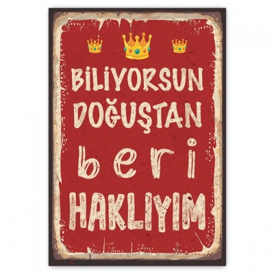 Biliyorsun DOĞUŞTAN beri HAKLIYIM Ahşap Retro Poster