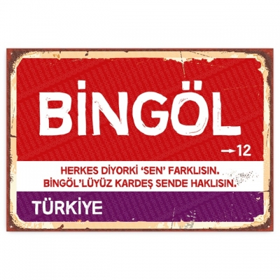 Bingöl Retro Şehir Tabelası- ahşap retro poster