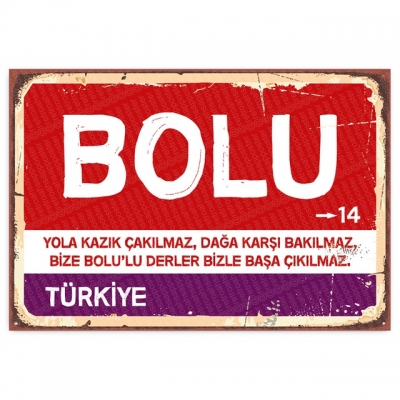 Bolu Retro Şehir Tabelası- ahşap retro poster