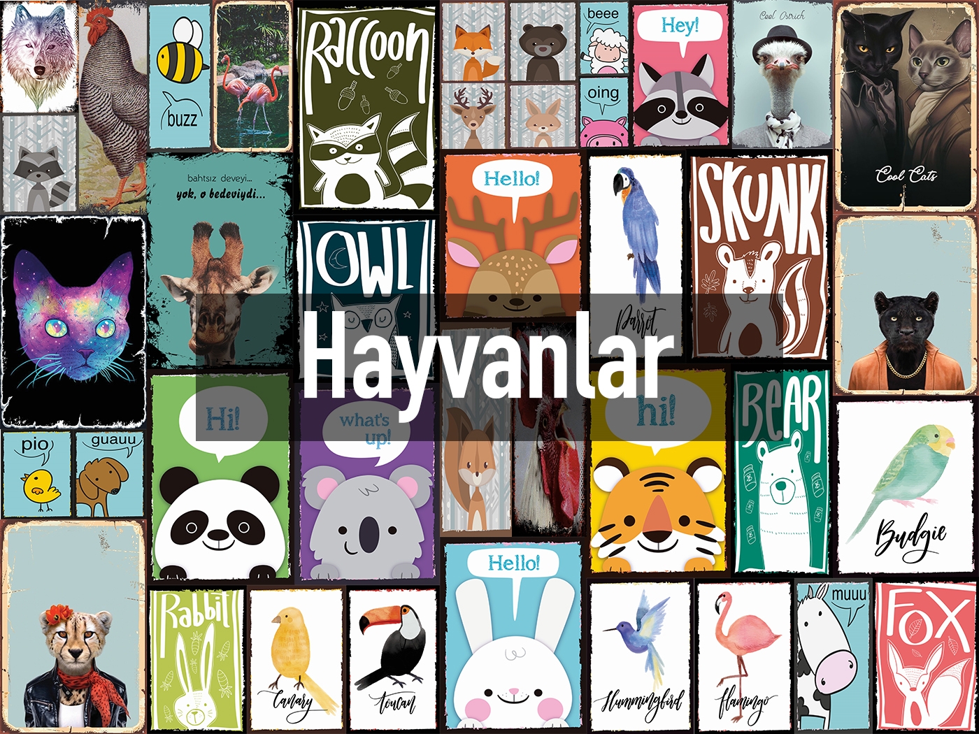 Hayvanlar